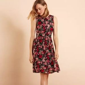 Brooks Brothers Floral Print Chiffon Dress 6